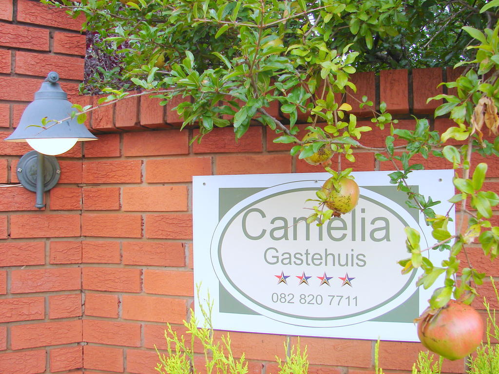 Camelia Guest House Μπλουμφοντέιν Εξωτερικό φωτογραφία